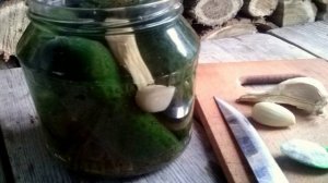 Квашеные огурцы без закатки