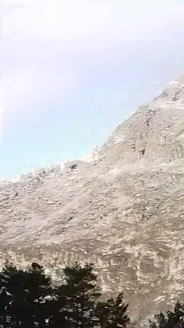 на Алтай пришла зима