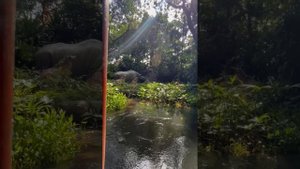 Круиз по реке в Джунглях, Гонконг, Диснейленд