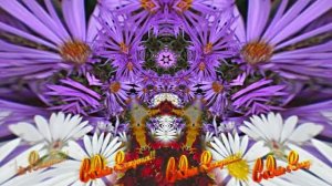 С Днём Рождения 3!!! Осенняя краса!