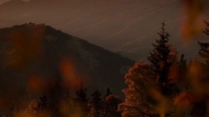 Аудио практика «Расставание с обидами к папе»