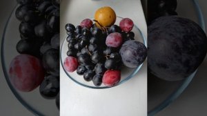 "Тихий натюрморт"