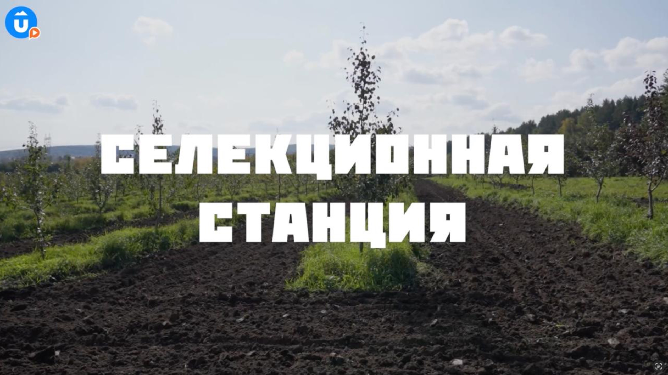 Селекционная станция Екатеринбурга. Навигатор Live