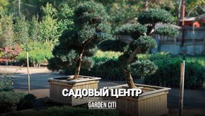 Садовый центр GARDEN CITI