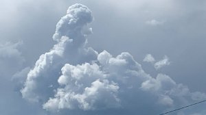 Зайчик передал - Вахромеево (Оригинал)