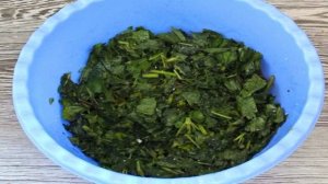 Квашеная крапива