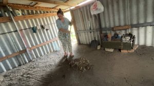 ДЕРЕВЕНСКАЯ ЖИЗНЬ. ЧИСТКА ГАРАЖА, ПОЧИНКА БОЙЛЕРА И ДОЛГОЖДАННАЯ ПРОГУЛКА.