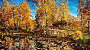 Видеофоны! Видеофон Осень на пороге - футаж для монтажа видео!!!