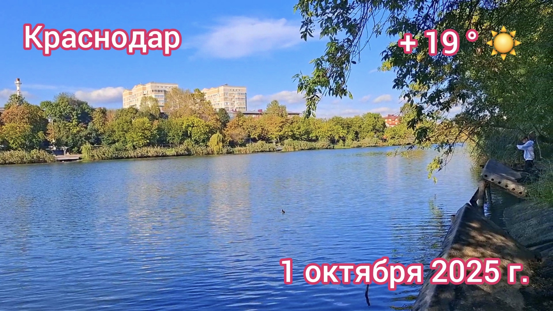 Краснодар - Прогулка по осеннему парку "Кубань" - 1 октября 2025 г.