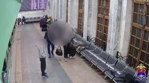 Столичные транспортные полицейские раскрыли грабеж чемодана с 1 млн рублей