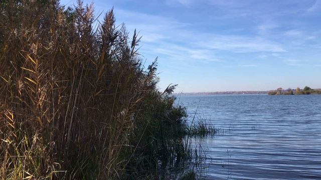 СКОРО ОСЕНЬ ЗА ОКНАМИ АВГУСТ смотреть онлайн