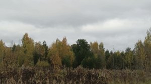 30-01-02.10.25💥Влог💥комментарии