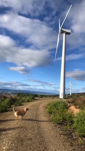 Скачать видео ➡️➡️➡️ в т. Г. https://t.me/cartolega смотреть онлайн