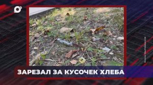 В порядке! / Обвиняют в убийстве / Осуждён за злоупотребление полномочиями / 02.10.25