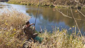 Рыбалка на Поплавок в Начале ноября! ПОИСК ПЛОТВЫ на реке!