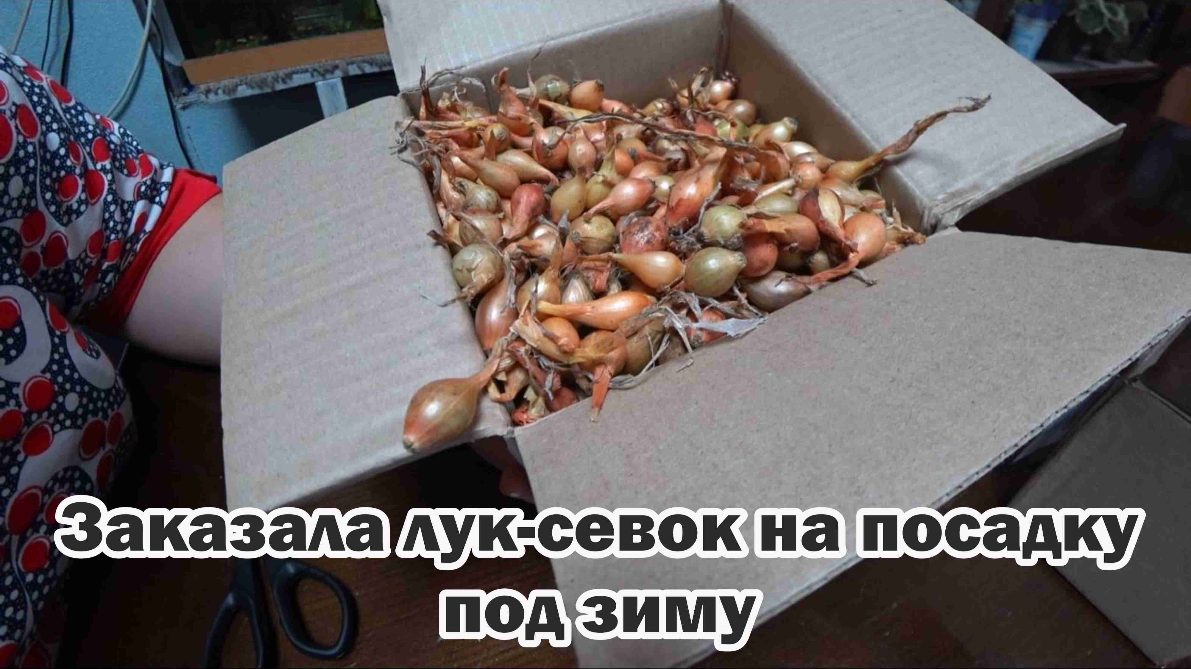 Обзор покупок с маркетплейса: лук-севок, семена моркови, лента-корректор, 3d-ручка