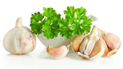 Огулов. Рецепт Чингисхана. Супер эффективный метод очищения от паразитов смотреть онлайн