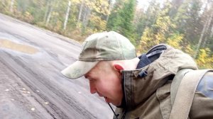 Охота с гончим на зайца