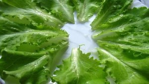 Канапе к шампанскому на скорую руку