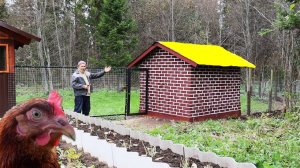 Обшил курятник кирпичом на своем хуторе!