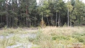 Красивая природа в осеннем лесу!