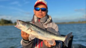 О Рыбалке коротко. Ловля судака с лодки