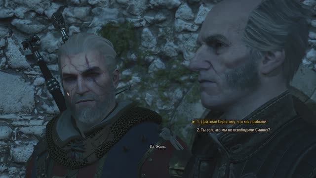 Ведьмак 3 - Детлафф