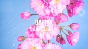 Японская поэзия. Хокку