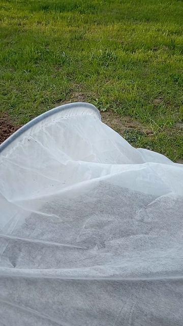 Первые посадки #мещанскоеболото #дачузафигачу #дача #обзордачи #частныедома #фазенда смотреть онлайн