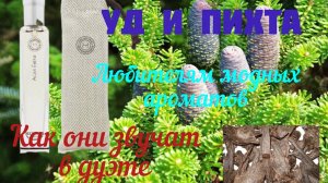 Уд и Пихта в парфюмерии. Как они звучат в дуэте? Обзор благородного аромата от бренда "HERMES"