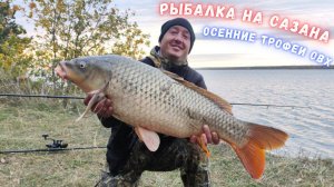 Бешеные поклёвки сазана разрывали меня от адреналина. Такой рыбалки у меня ещё не было.