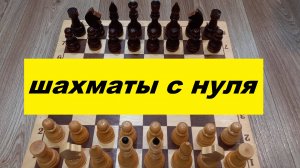 Шахматы с нуля! Как научиться играть?