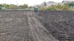 Мини трактор 4*4 пахота конным плугом, осень 2025