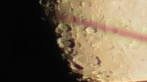 01.10.2025 Moon 19-15 msk