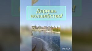 Парк Галицкого, Открытие Кроличей норы