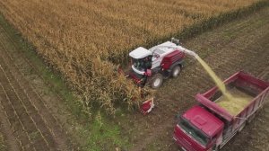 Кормоуборочный комбайн Ростсельмаш F 2650. Заготовка кукурузного силоса.