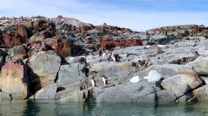 NEW АМ АНТАРКТИДА+СШ (20221114)