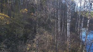 осень в лесу, жгем костёр, сидим на скале возле реки