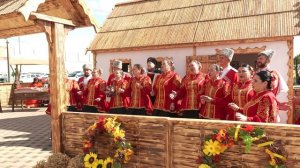 Ой при лужку. Ансамбль Колос. 2025 г. 4K(UHD).