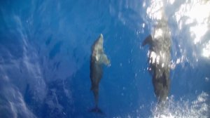 КРЫМ. РАЗВИТИЕ.