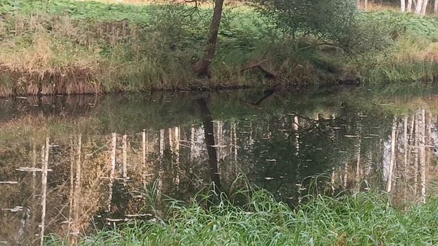 VID_20251002_100259