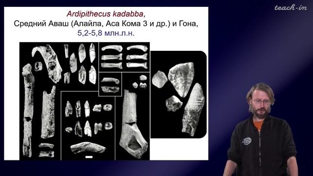 Дробышевский. Эволюция человека