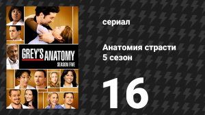 Анатомия страсти 5 сезон 16 серия «Добросовестное заблуждение» (сериал, 2008)
