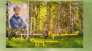 Стихотворение С. Есенина "Край любимый! Сердцу снятся..."