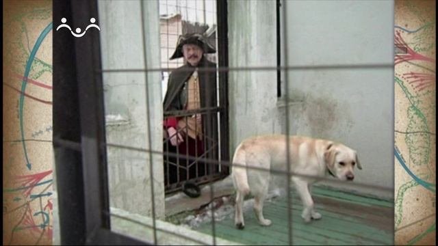 Аты-баты. Собаки на войне