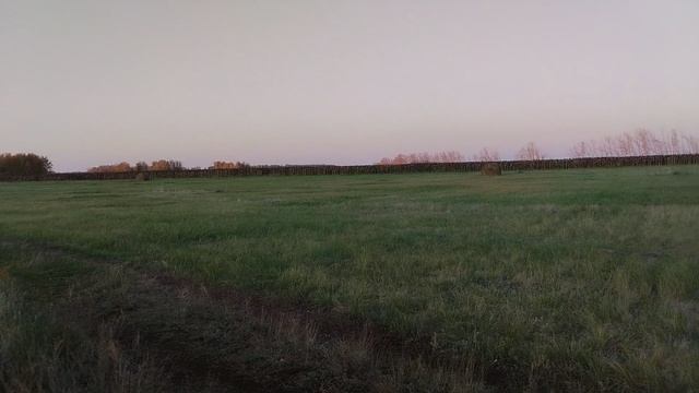 сибирская природа.
