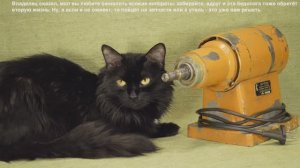 Машина заточная ИЭ-9703Б. Часть 1. Будем жить!