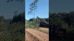 Валочный захват для срубки деревьев KIBBLERWOOD, модель СД2-350