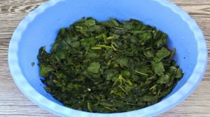 Квашеная крапива