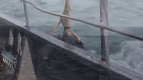 Әлемдегі ең әдемі және ең ұзақ секс